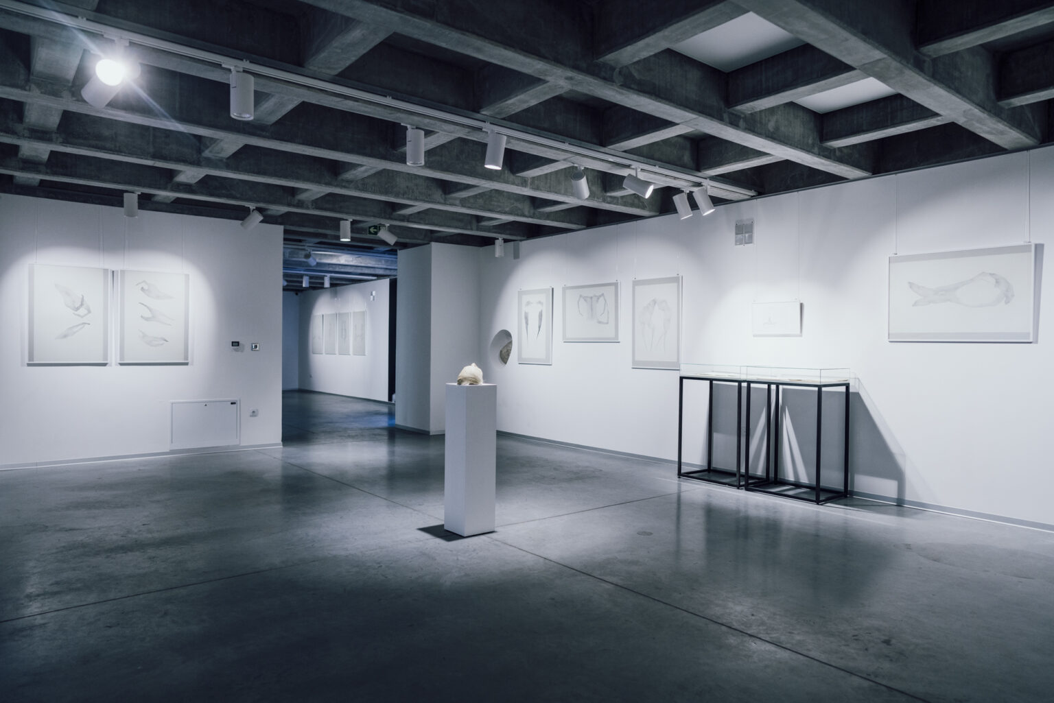 A view of the exhibition in the modern exhibition interior.